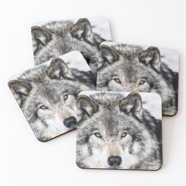 Item preview, Grey Wolf  designed and sold by KennyBImages899.