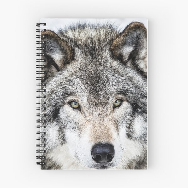 Item preview, Grey Wolf  designed and sold by KennyBImages899.
