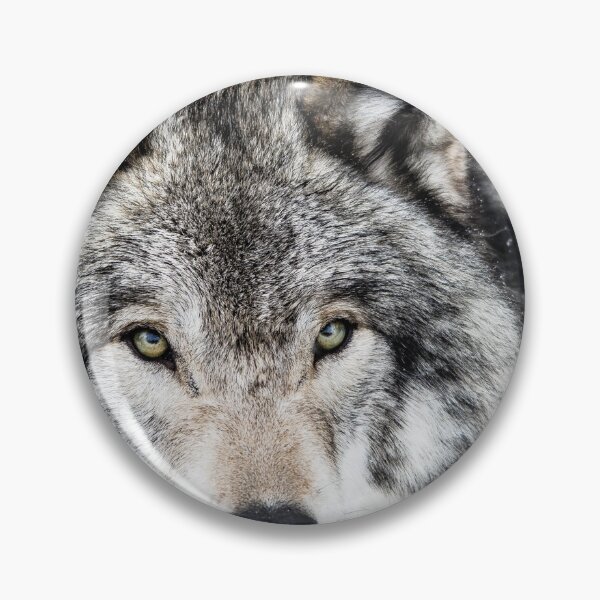 Item preview, Grey Wolf  designed and sold by KennyBImages899.