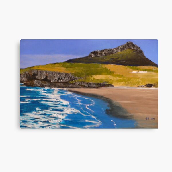 St Davids 2011 Canvas Print