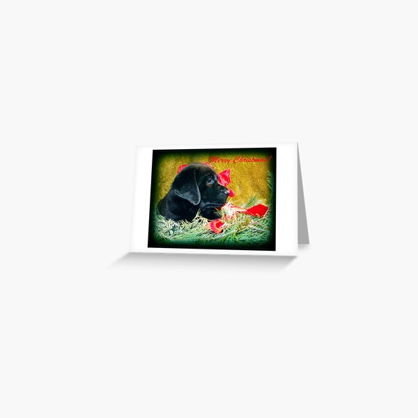 Happy Holidays! Greeting Card