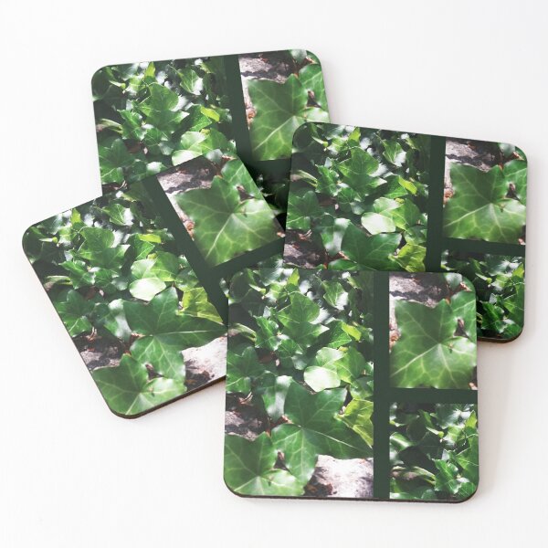 Item preview, Light Dappled Leaves, Beautiful Texture in Nature by Courtney Hatcher designed and sold by cghatcherart.