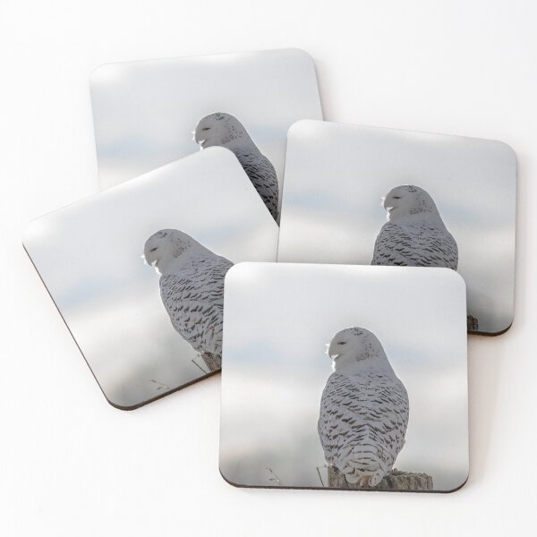 Item preview, Snowy Owl Back Lit designed and sold by KennyBImages899.