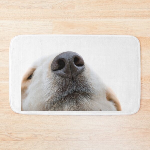 Item preview, Dog nose designed and sold by angieanguk.