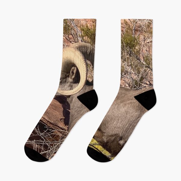 Item preview, Desert Bighorn designed and sold by GraceSage.