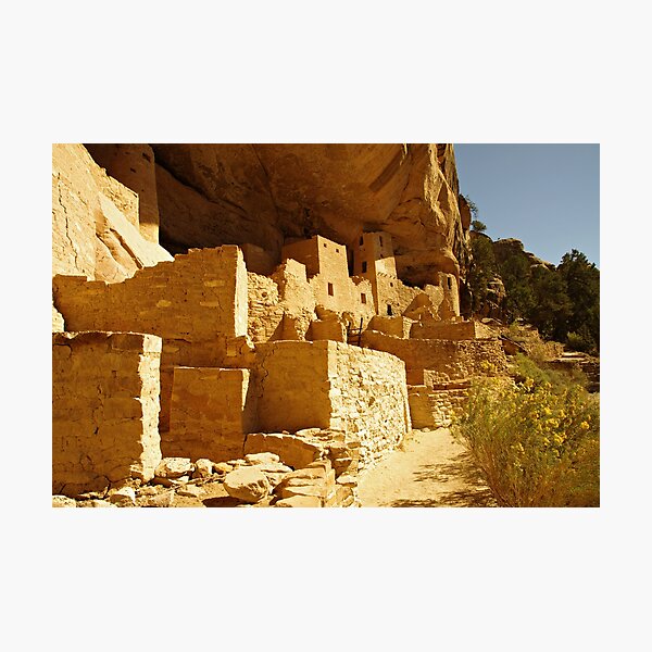 Cliff Palace, Mesa Verde Photographic Print