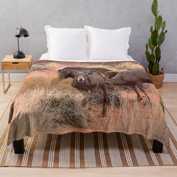 Item preview, Desert Bighorn designed and sold by GraceSage.