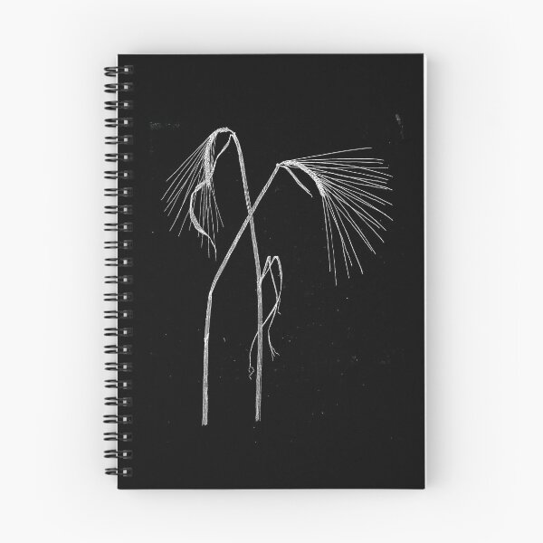 Item preview, Corn Sketch designed and sold by SoulRising.