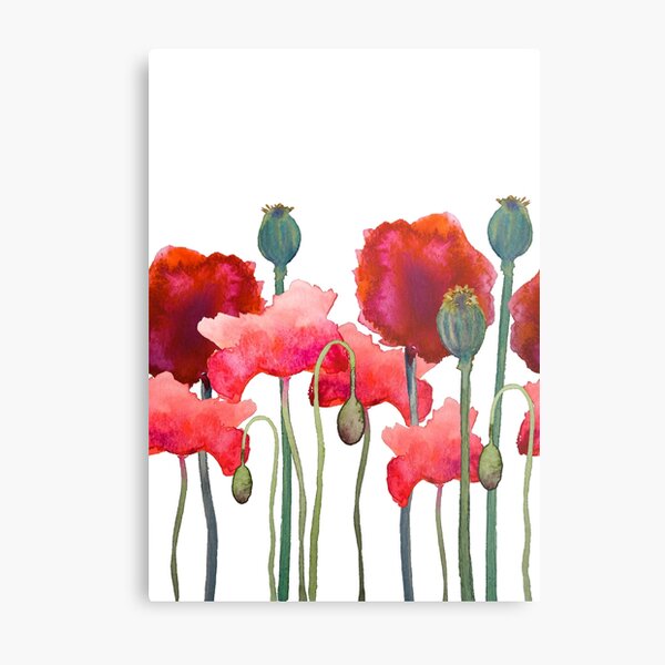 Poppy meadow Metal Print