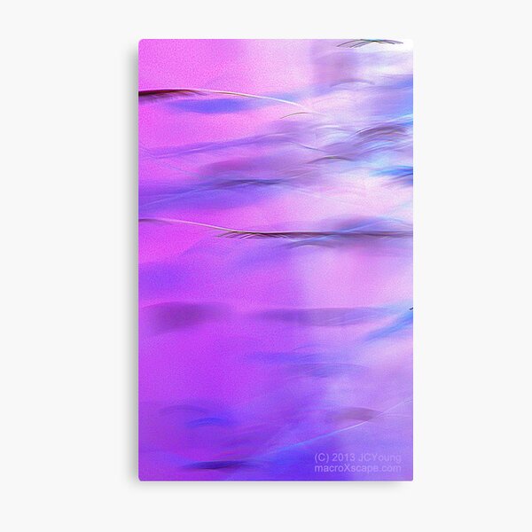 Fuzzy Purple Metal Print