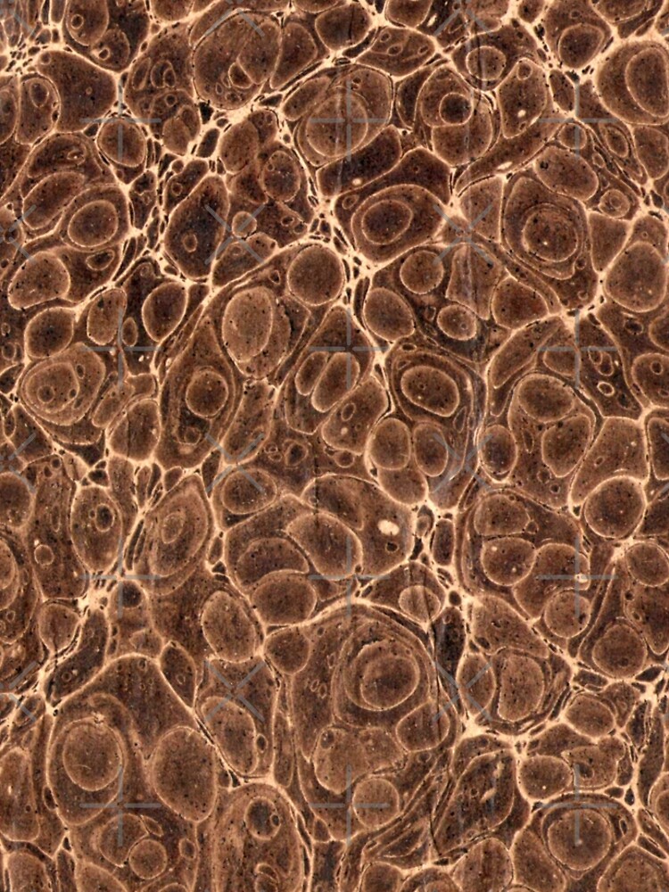 Old Marbled Paper 02 de bibliotee