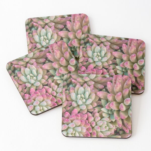 Item preview, Beautiful succulent in color designed and sold by Photopat.