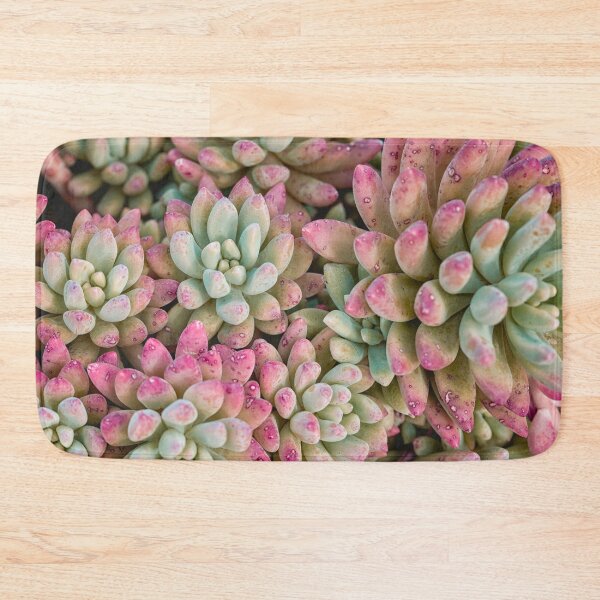 Item preview, Beautiful succulent in color designed and sold by Photopat.