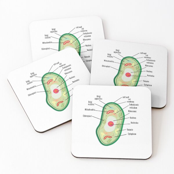 Item preview, poster anatomy of plant cell helpful for education | plant Cell Anatomy poster    designed and sold by KARTICK DUTTA.