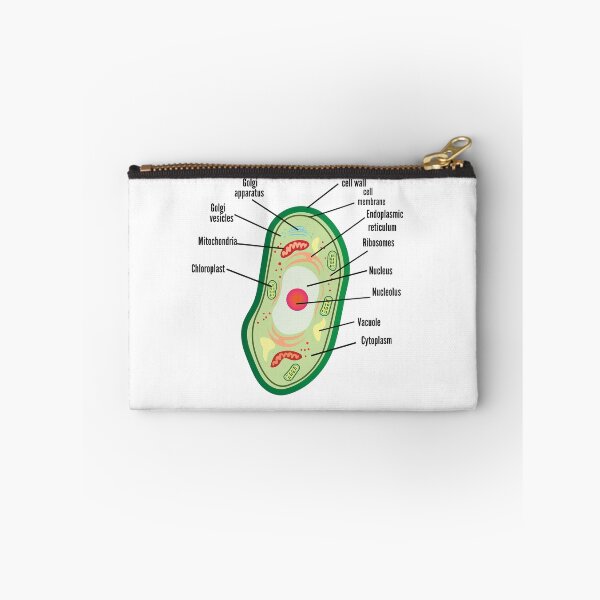 Item preview, poster anatomy of plant cell helpful for education | plant Cell Anatomy poster    designed and sold by KARTICK DUTTA.