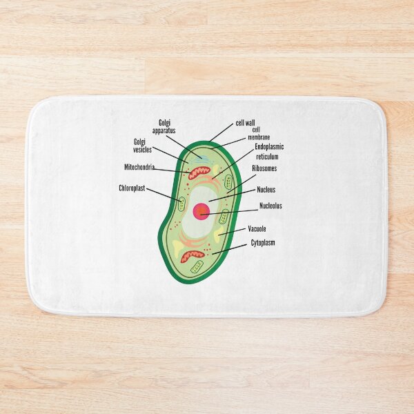Item preview, poster anatomy of plant cell helpful for education | plant Cell Anatomy poster    designed and sold by KARTICK DUTTA.