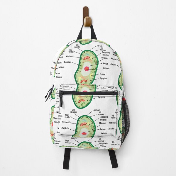 Item preview, poster anatomy of plant cell helpful for education | plant Cell Anatomy poster    designed and sold by KARTICK DUTTA.