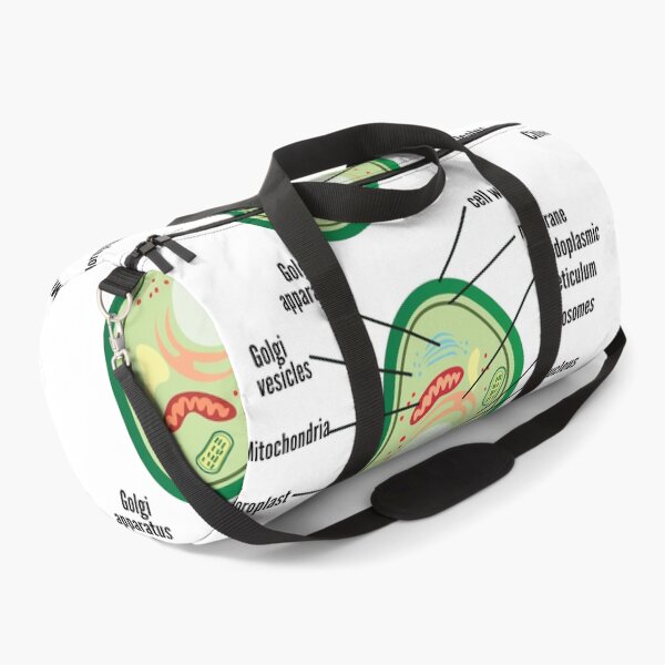 Item preview, poster anatomy of plant cell helpful for education | plant Cell Anatomy poster    designed and sold by KARTICK DUTTA.