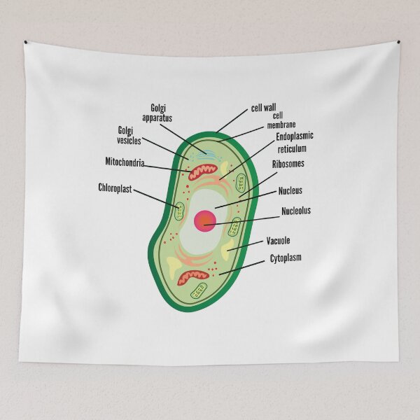 Item preview, poster anatomy of plant cell helpful for education | plant Cell Anatomy poster    designed and sold by KARTICK DUTTA.