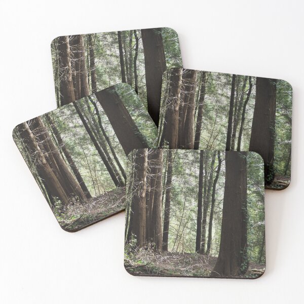 Item preview, Photograph of The Woods designed and sold by Danielc55.