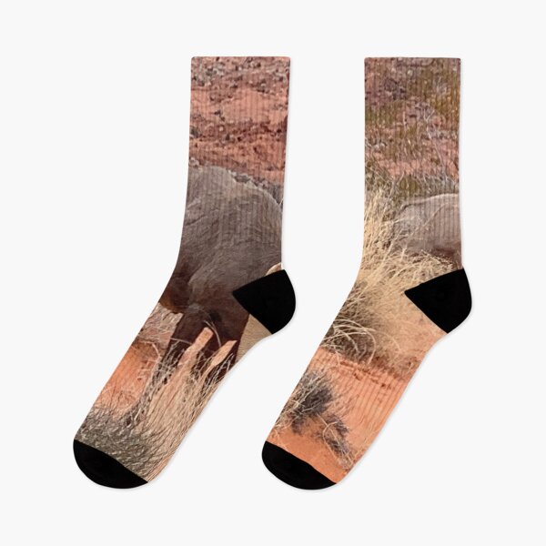 Item preview, Desert Bighorn designed and sold by GraceSage.