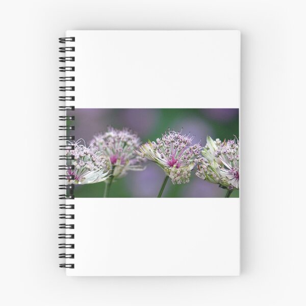 Item preview, Four in a row.............Peebles garden designed and sold by rosie320d.