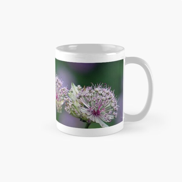 Item preview, Four in a row.............Peebles garden designed and sold by rosie320d.