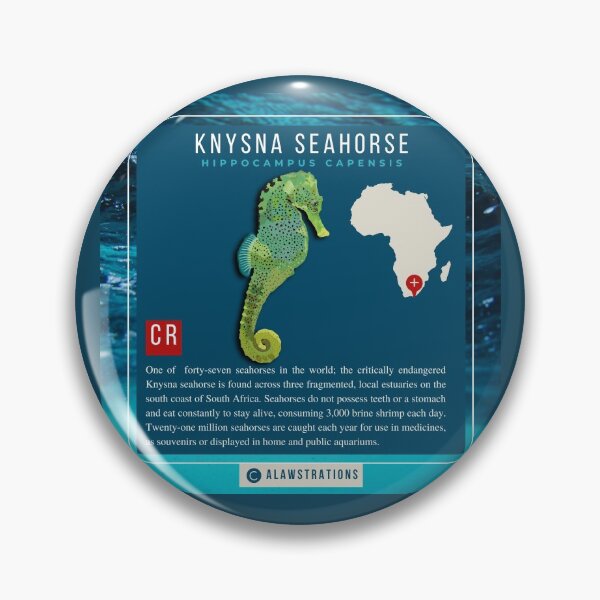 Item preview, Knysna Seahorse (Hippocampus capensis) designed and sold by Alawstrations.