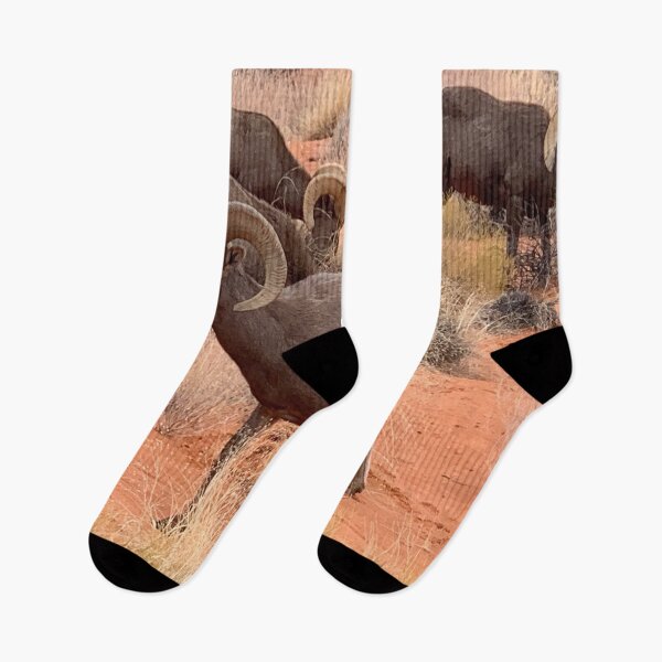Item preview, Desert Bighorn designed and sold by GraceSage.