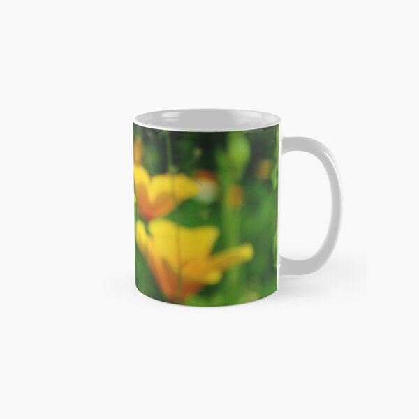 Item preview, Cali Pops designed and sold by Barrie Woodward.