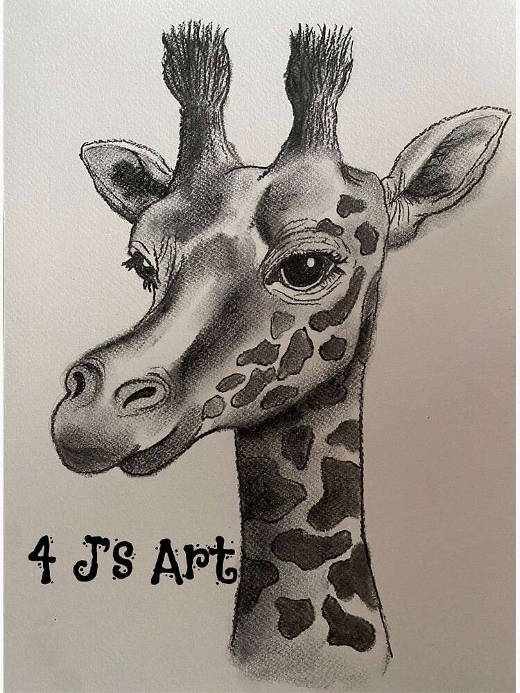 "Giraffe in black and white, simple charcoal drawing with lifelike