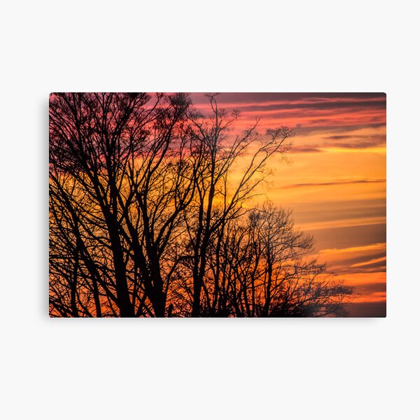 REDREAMING FIRE IN THE SKY Metal Print