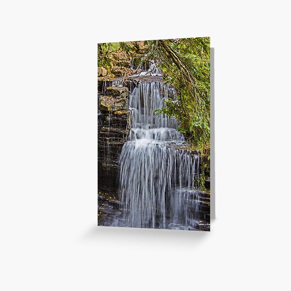 REDREAMING CASCADES Greeting Card