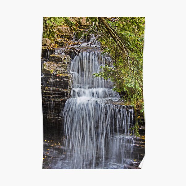 REDREAMING CASCADES Poster