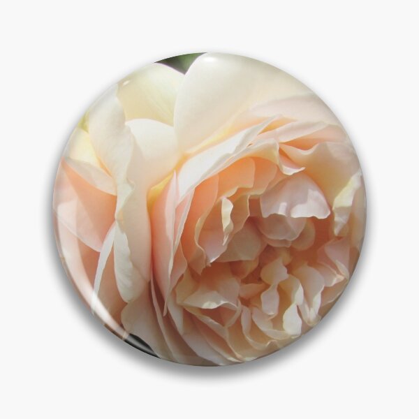 Item preview, Double Peach Blush Pink Cabbage Rose designed and sold by GoNatureDesigns.