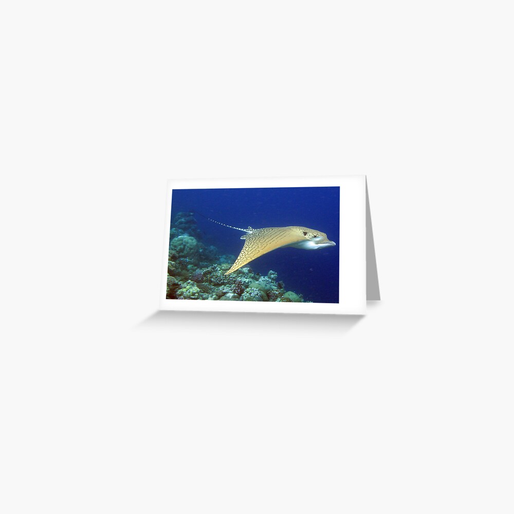 Lord of the Pass Greeting Card
