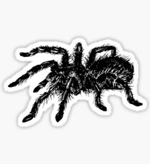 Tarantula spider Sticker