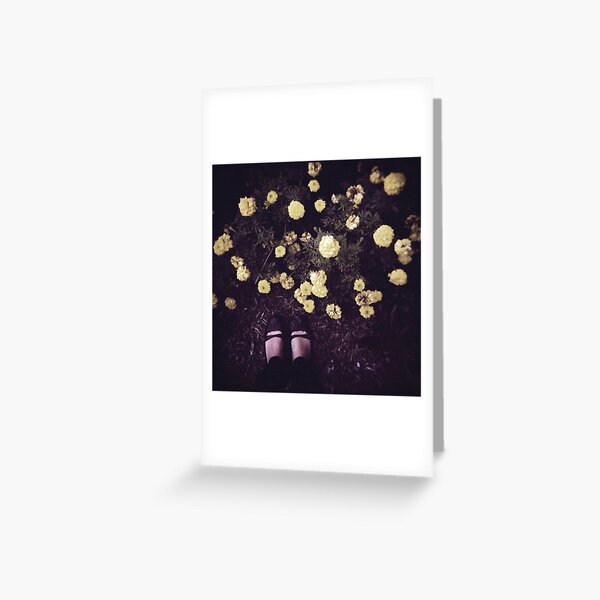 Item preview.