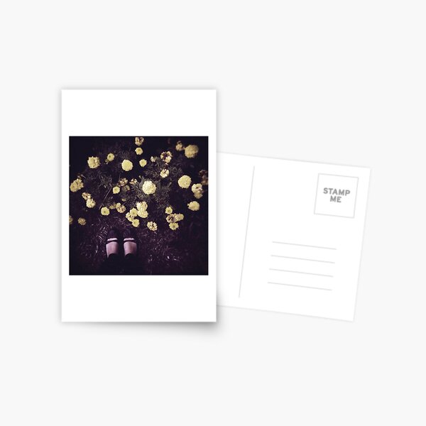 Item preview.