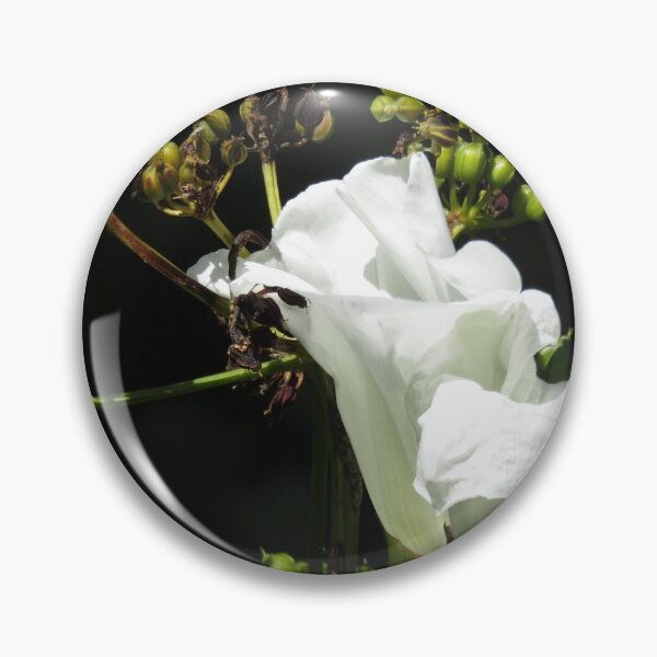 Item preview, bindweed designed and sold by joshuarainbird.