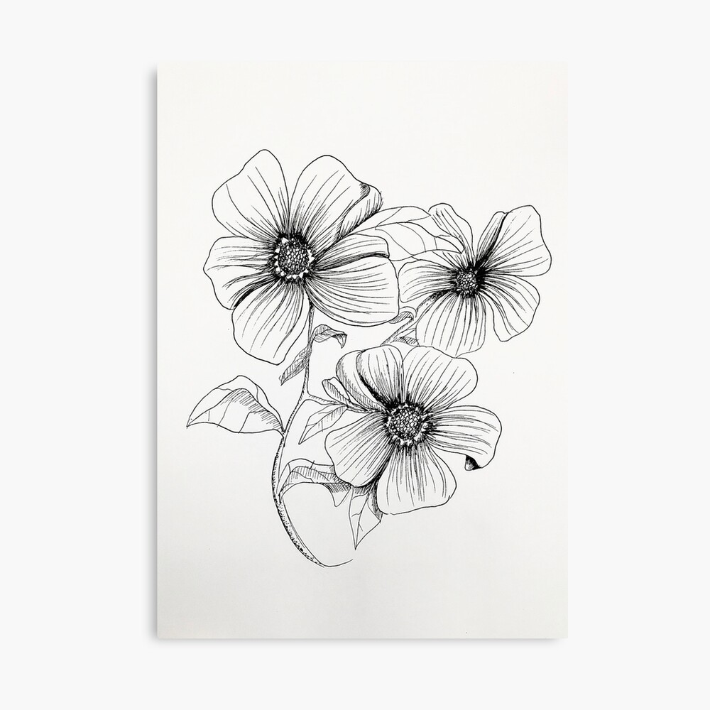 Black Ink Pen Sketch designs, themes, templates and downloadable graphic  elements on Dribbble