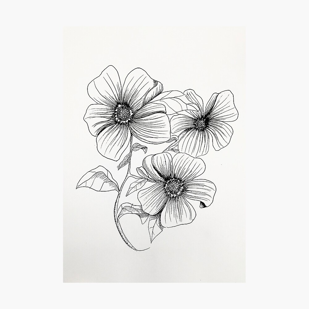 cute rose drawing easy, pencil cute rose drawing easy, pencil cute rose  drawing easy, sketch easy kids rose flower drawing, simple easy simple rose  drawing, cartoon simple easy simple rose drawing. -