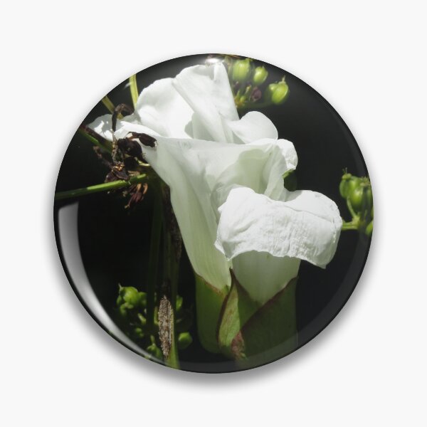 Item preview, bindweed designed and sold by joshuarainbird.