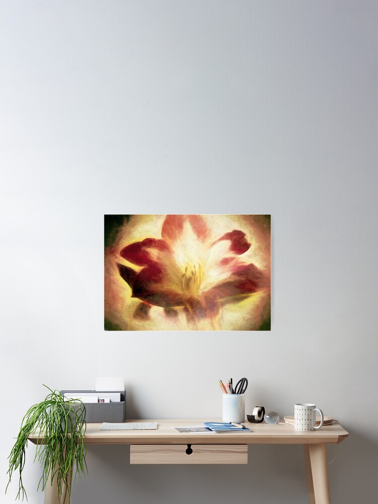 Thumbnail 2 of 3, Poster, Amaryllis Abstract designed and sold by bubred24.