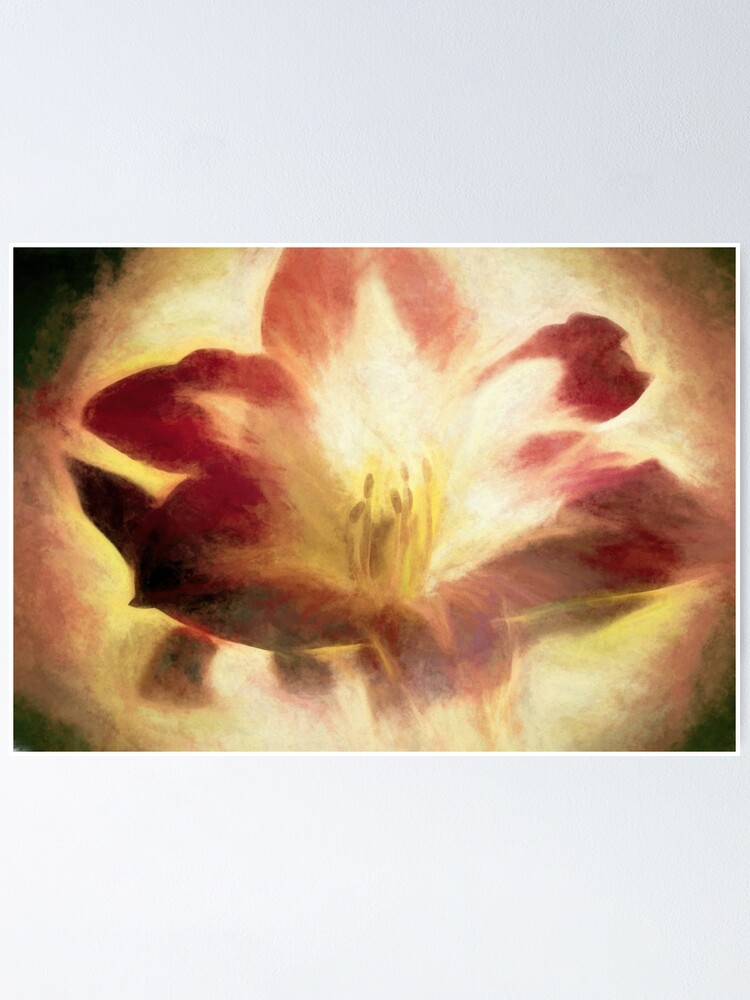 Thumbnail 1 of 3, Poster, Amaryllis Abstract designed and sold by bubred24.