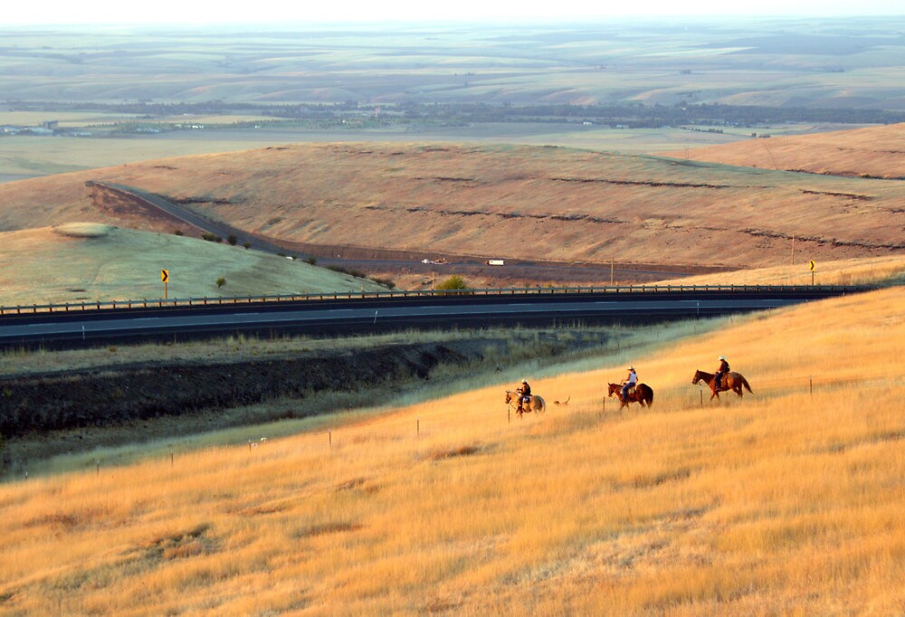 "Cabbage Hill Pendleton, Oregon Fall 2012" by Michael Rogers Redbubble
