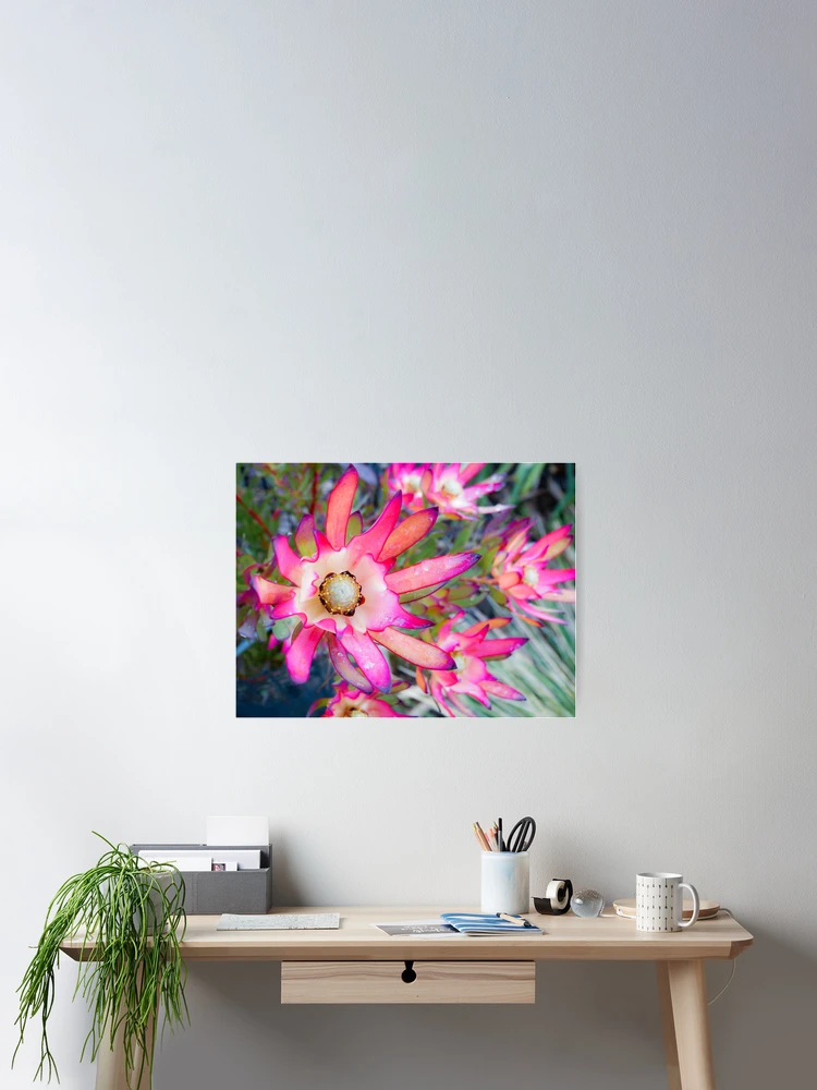 Thumbnail 2 of 3, Poster, Flora designed and sold by dropsofjupiter.