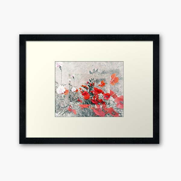 Framed Print