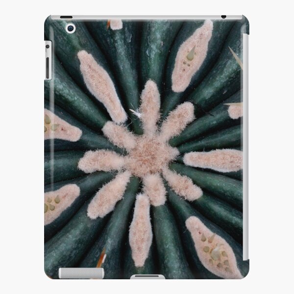 Cactus Photo iPad Snap Case