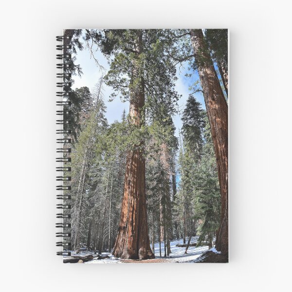Item preview, California Redwood- Sequoia National Park designed and sold by momentintime97.
